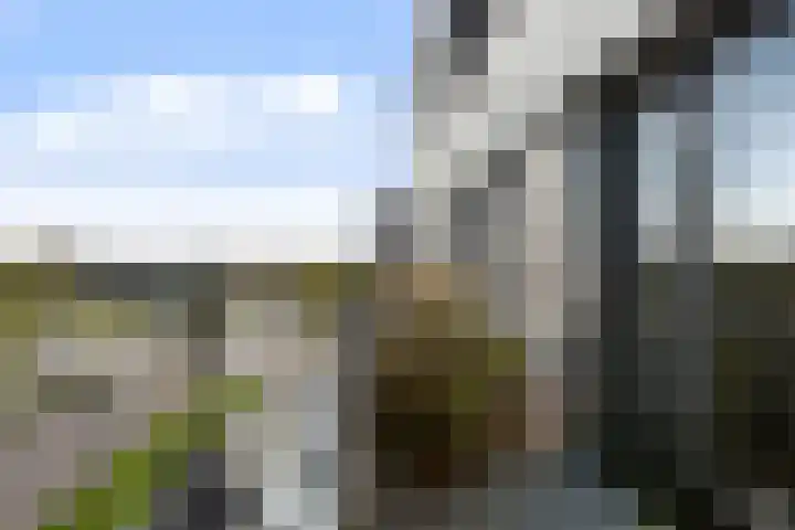 Spanjestraat 62 Almere thumbnail 9