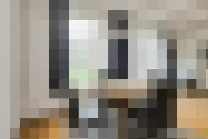 Spank 50 Breda thumbnail 13