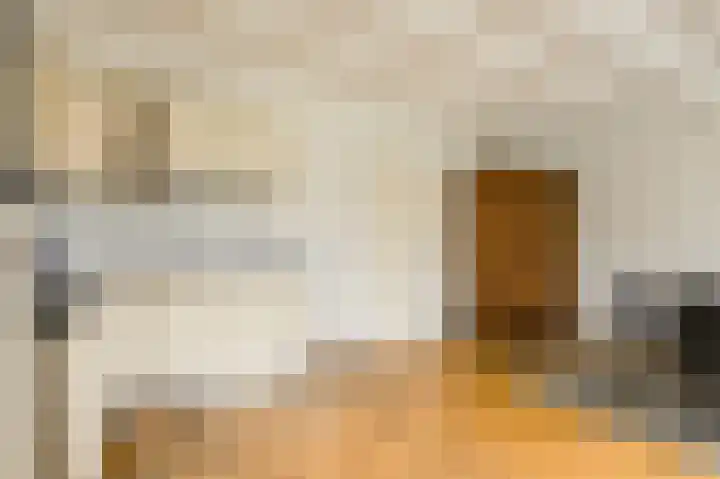 Spank 50 Breda thumbnail 16