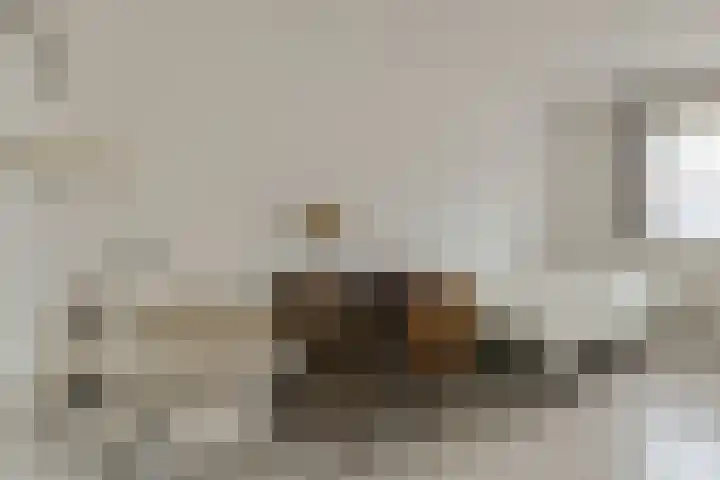 Spank 50 Breda thumbnail 21