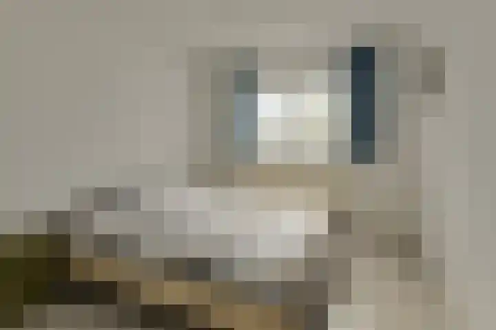Spank 50 Breda thumbnail 27