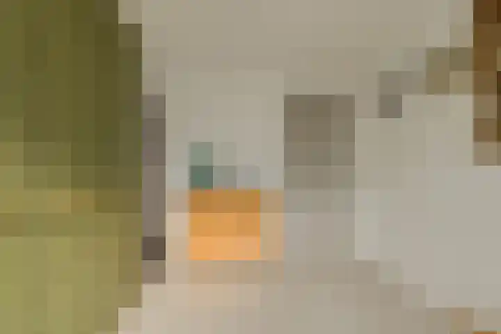 Spank 50 Breda thumbnail 30