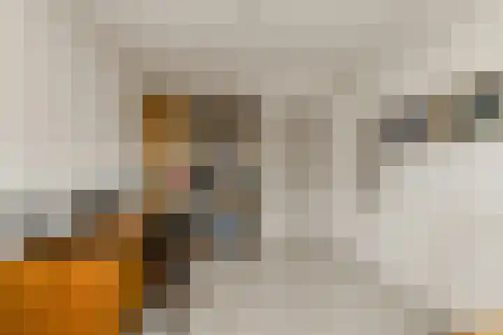 Spank 50 Breda thumbnail 32