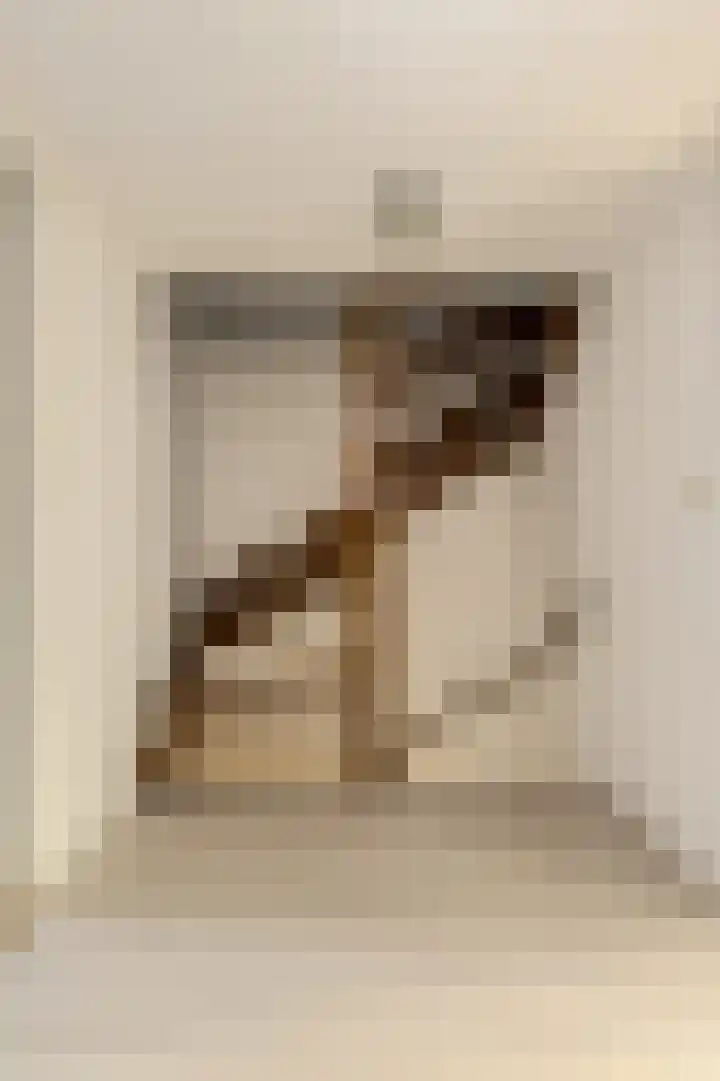 Spank 50 Breda thumbnail 34