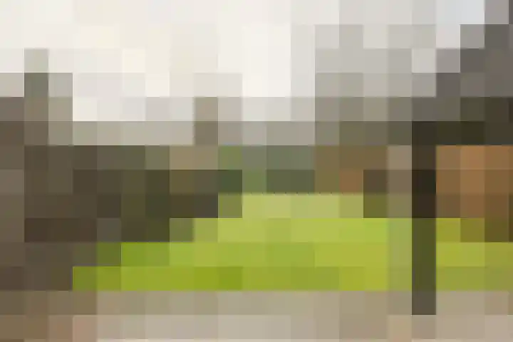 Spank 50 Breda thumbnail 37