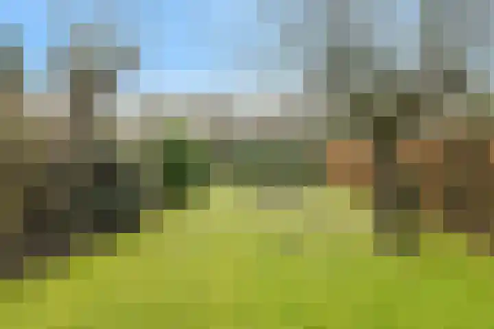 Spank 50 Breda thumbnail 38