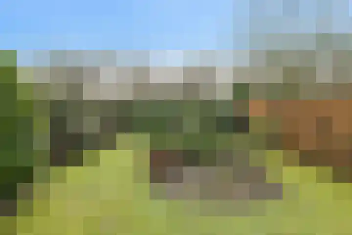 Spank 50 Breda thumbnail 39