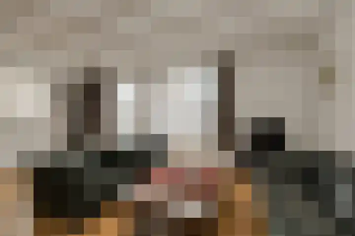 Spank 50 Breda thumbnail 4