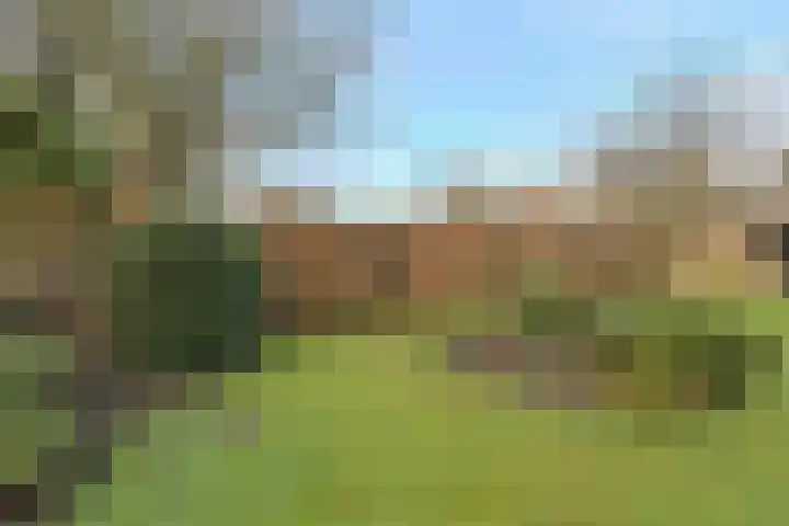 Spank 50 Breda thumbnail 40