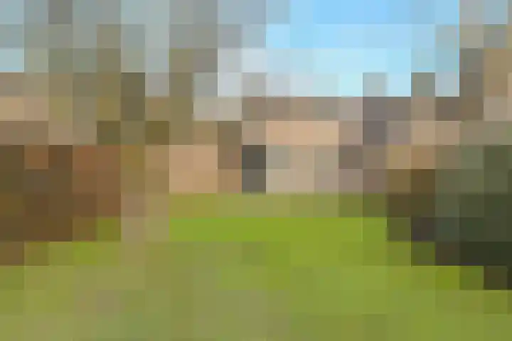Spank 50 Breda thumbnail 41
