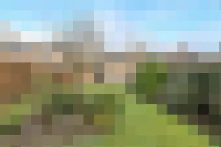 Spank 50 Breda thumbnail 42