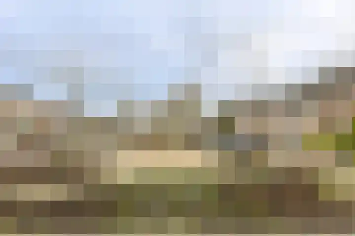 Spank 50 Breda thumbnail 47