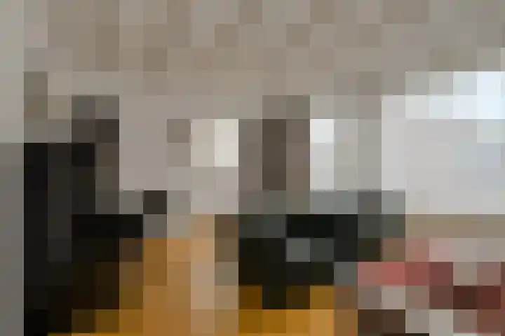 Spank 50 Breda thumbnail 5