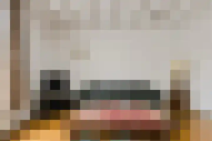 Spank 50 Breda thumbnail 8