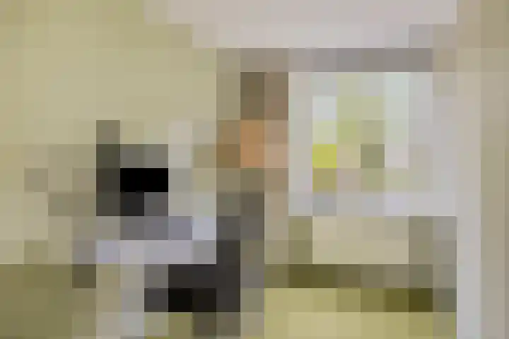 Spanker 11 Loosdrecht thumbnail 22