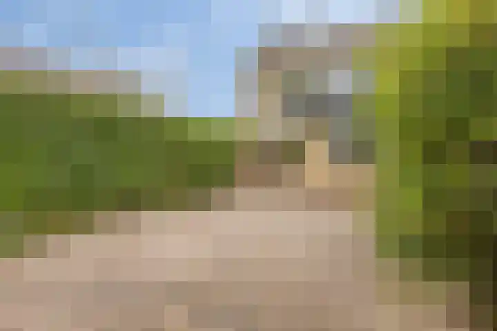 Spanker 11 Loosdrecht thumbnail 5