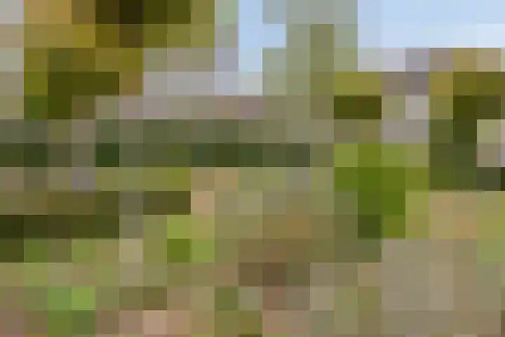 Spanker 11 Loosdrecht thumbnail 6