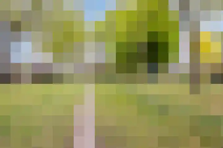 Spanker 11 Loosdrecht thumbnail 7
