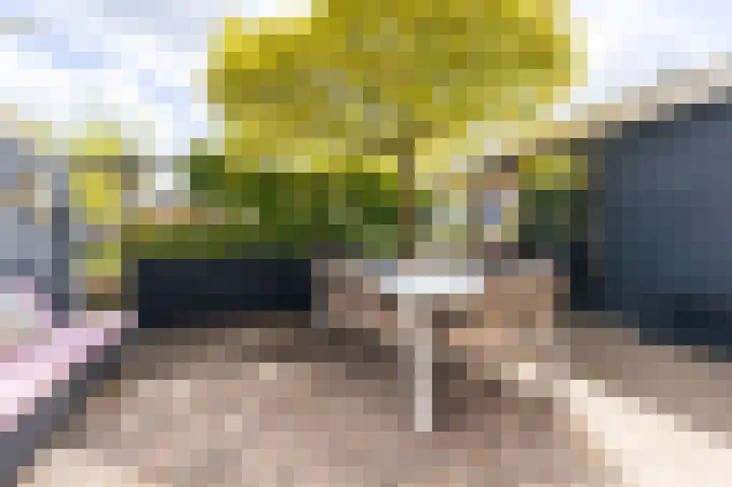 Spanker 13 Medemblik thumbnail 4