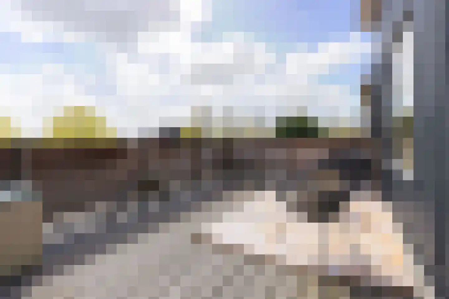 Spanker 13 Medemblik thumbnail 43