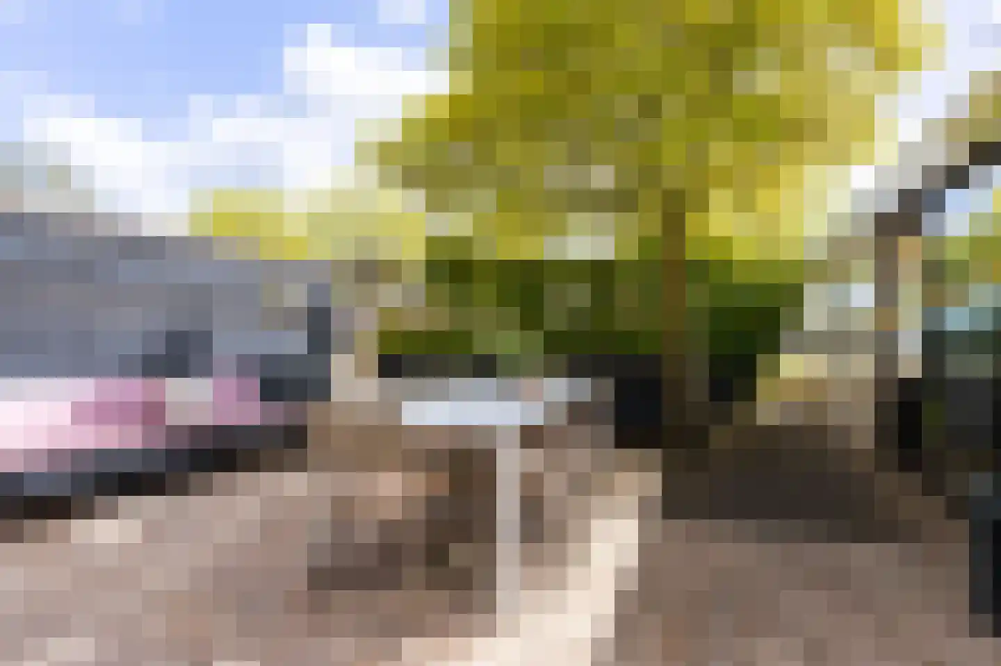 Spanker 13 Medemblik thumbnail 50