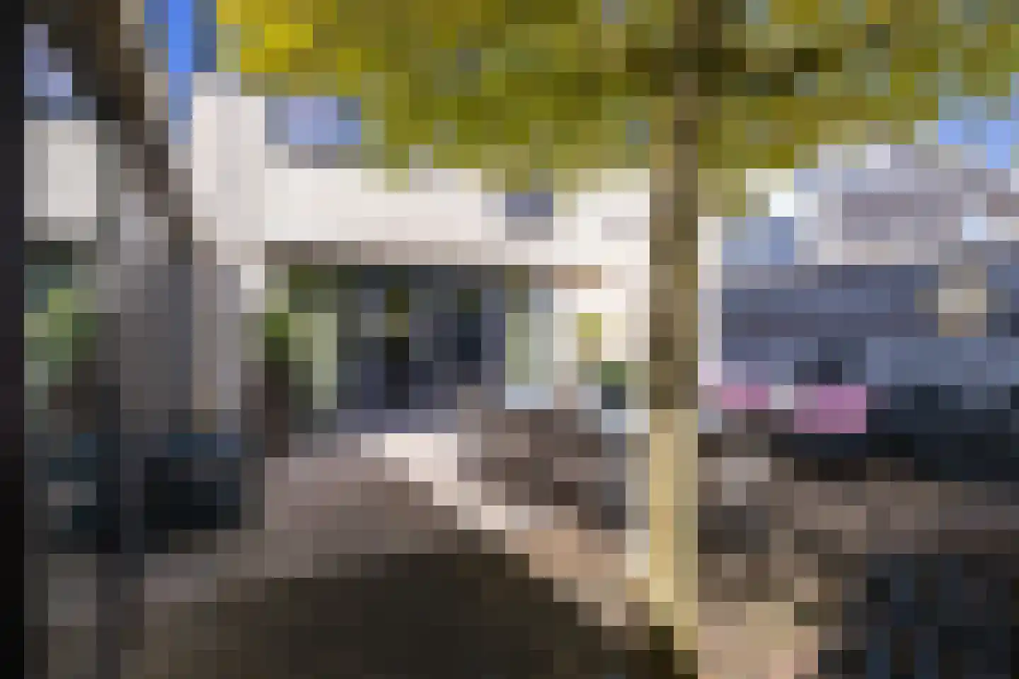 Spanker 13 Medemblik thumbnail 51