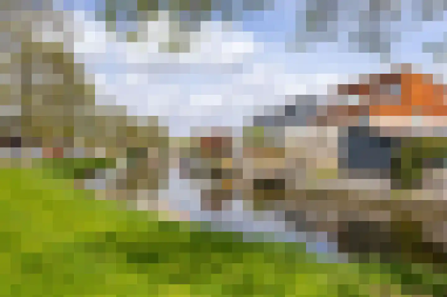 Spanker 13 Medemblik thumbnail 57