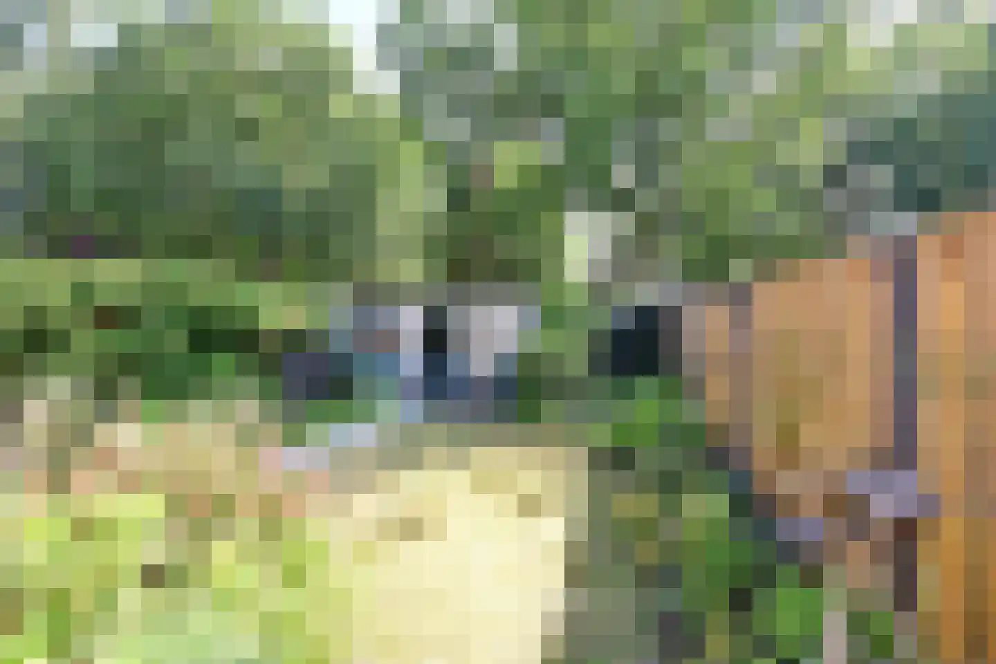 Spanker 7 Loosdrecht thumbnail 15