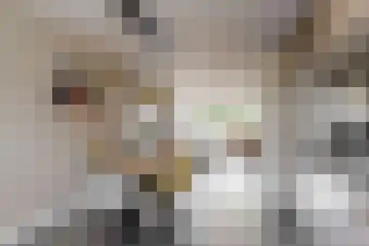 Spanker 7 Medemblik thumbnail 12