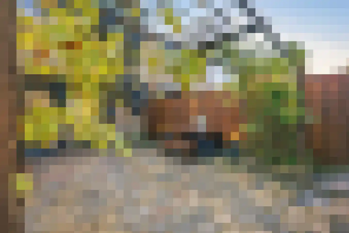 Spankerenkade 9 Amsterdam thumbnail 15