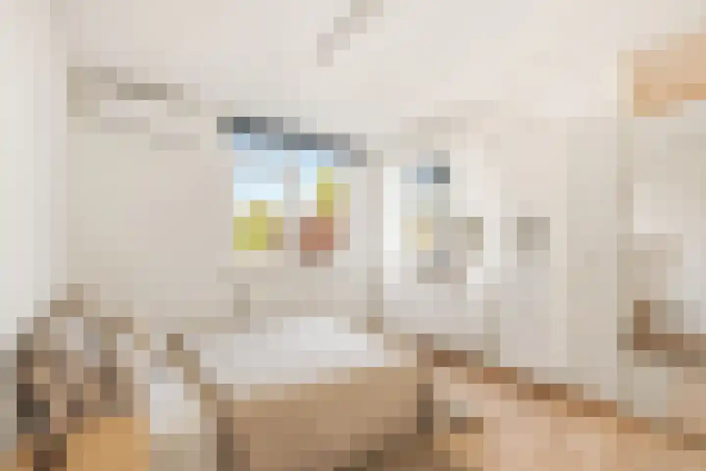 Spankerenkade 9 Amsterdam thumbnail 21