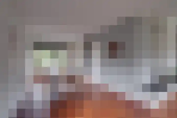 Spankerenseweg 31 a Dieren thumbnail 10