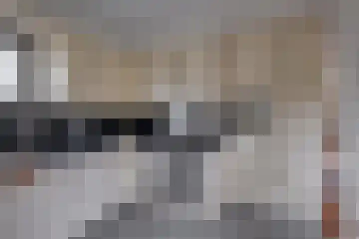 Spankerenseweg 31 a Dieren thumbnail 12
