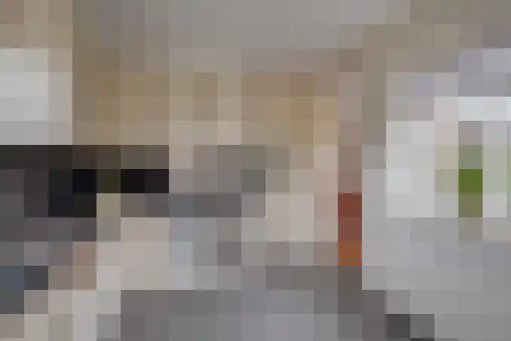 Spankerenseweg 31 a Dieren thumbnail 13