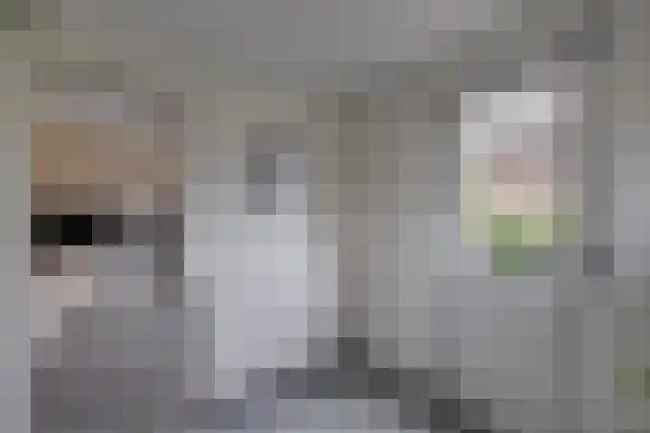 Spankerenseweg 31 a Dieren thumbnail 14