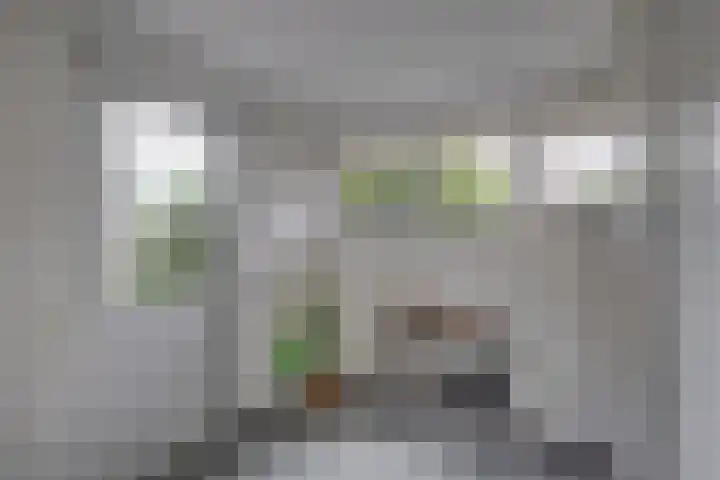 Spankerenseweg 31 a Dieren thumbnail 15