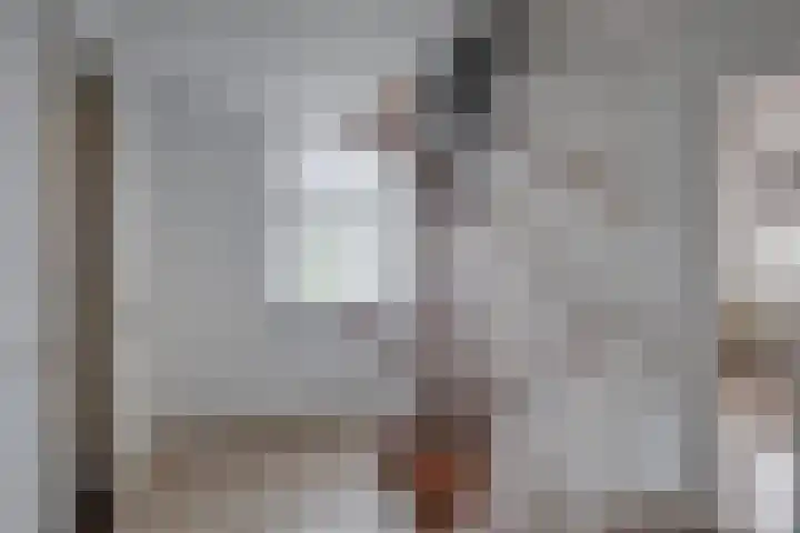 Spankerenseweg 31 a Dieren thumbnail 16