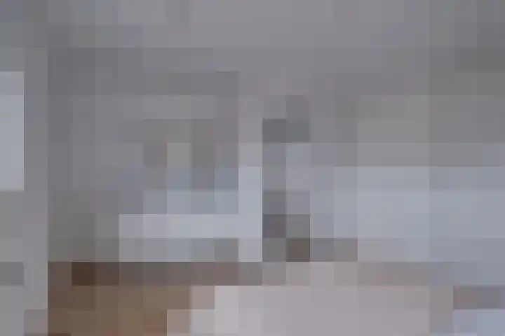 Spankerenseweg 31 a Dieren thumbnail 17
