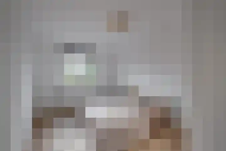 Spankerenseweg 31 a Dieren thumbnail 19