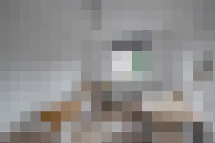 Spankerenseweg 31 a Dieren thumbnail 20