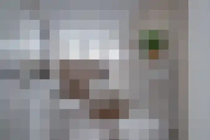 Spankerenseweg 31 a Dieren thumbnail 21