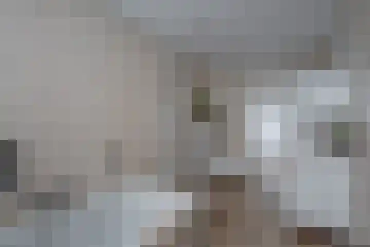 Spankerenseweg 31 a Dieren thumbnail 23