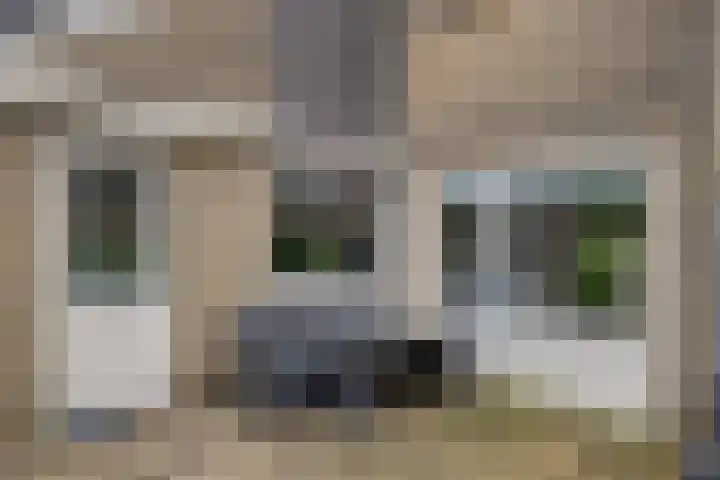 Spankerenseweg 31 a Dieren thumbnail 27
