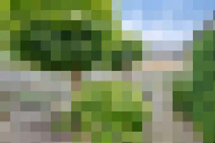 Spankerenseweg 31 a Dieren thumbnail 29