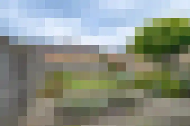 Spankerenseweg 31 a Dieren thumbnail 30
