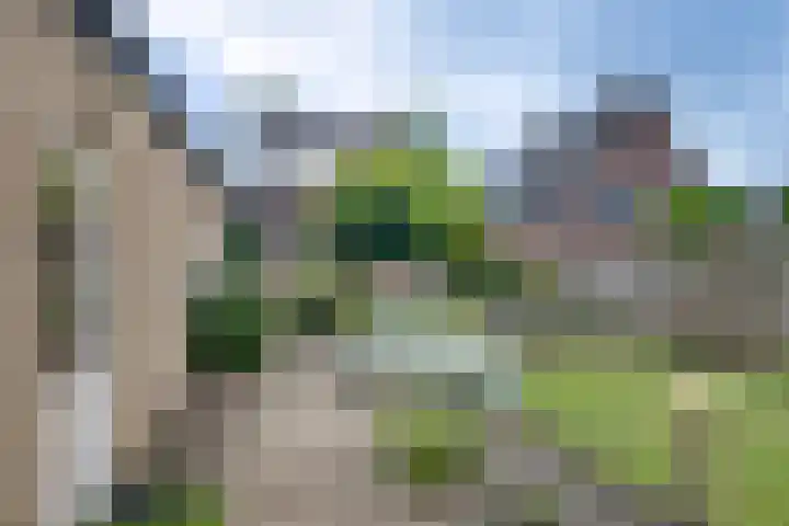 Spankerenseweg 31 a Dieren thumbnail 31