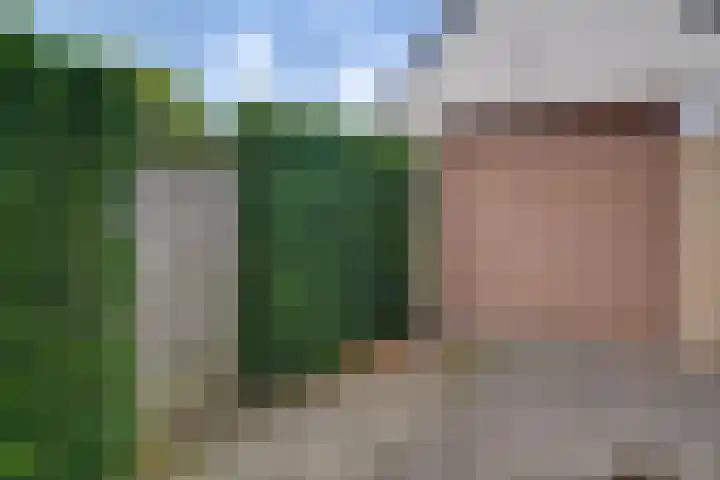 Spankerenseweg 31 a Dieren thumbnail 36