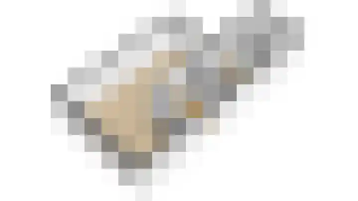 Spankerenseweg 31 a Dieren thumbnail 39
