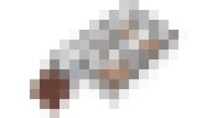Spankerenseweg 31 a Dieren thumbnail 40