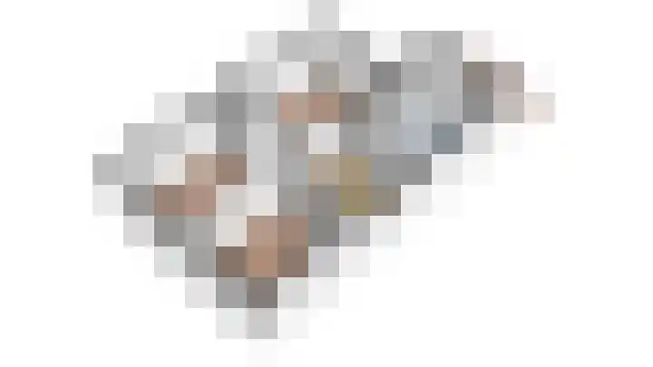 Spankerenseweg 31 a Dieren thumbnail 41